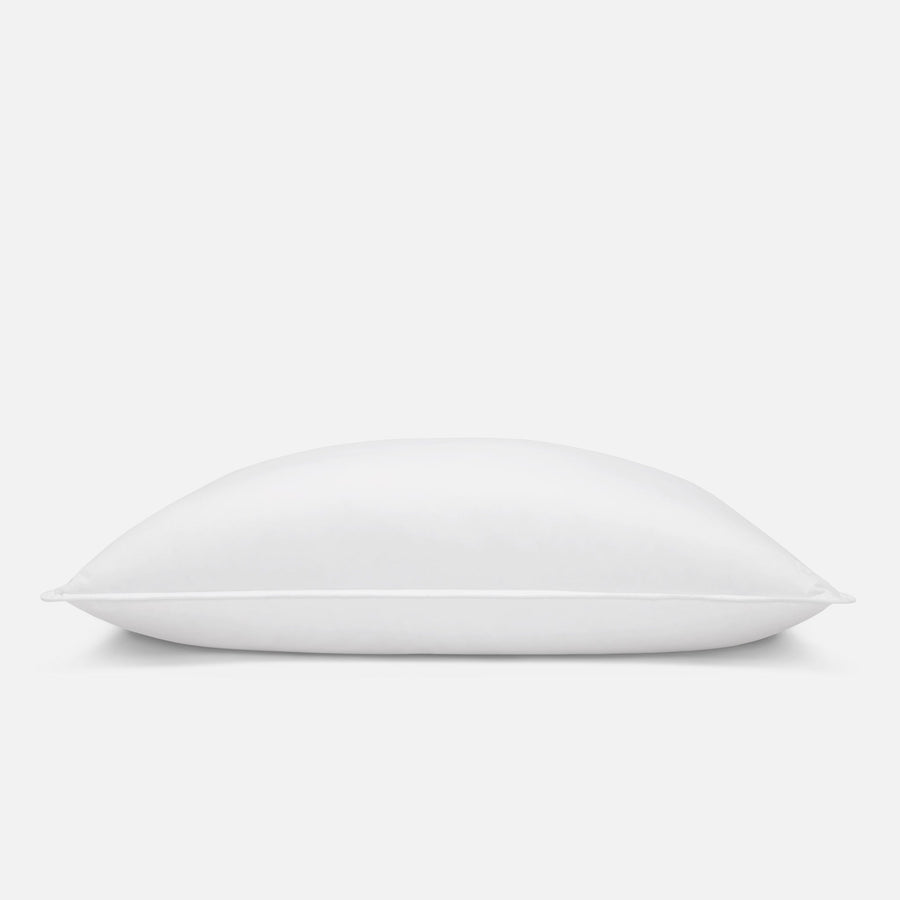 Down Pillow B0